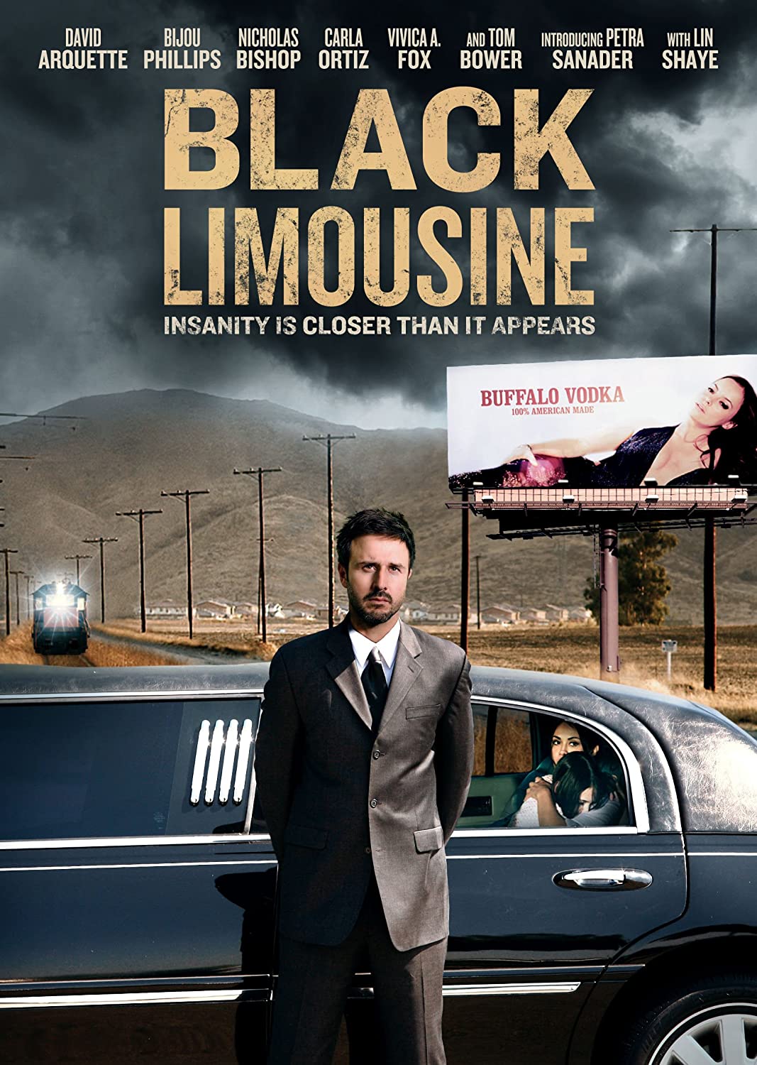 BLACK LIMOUSINE