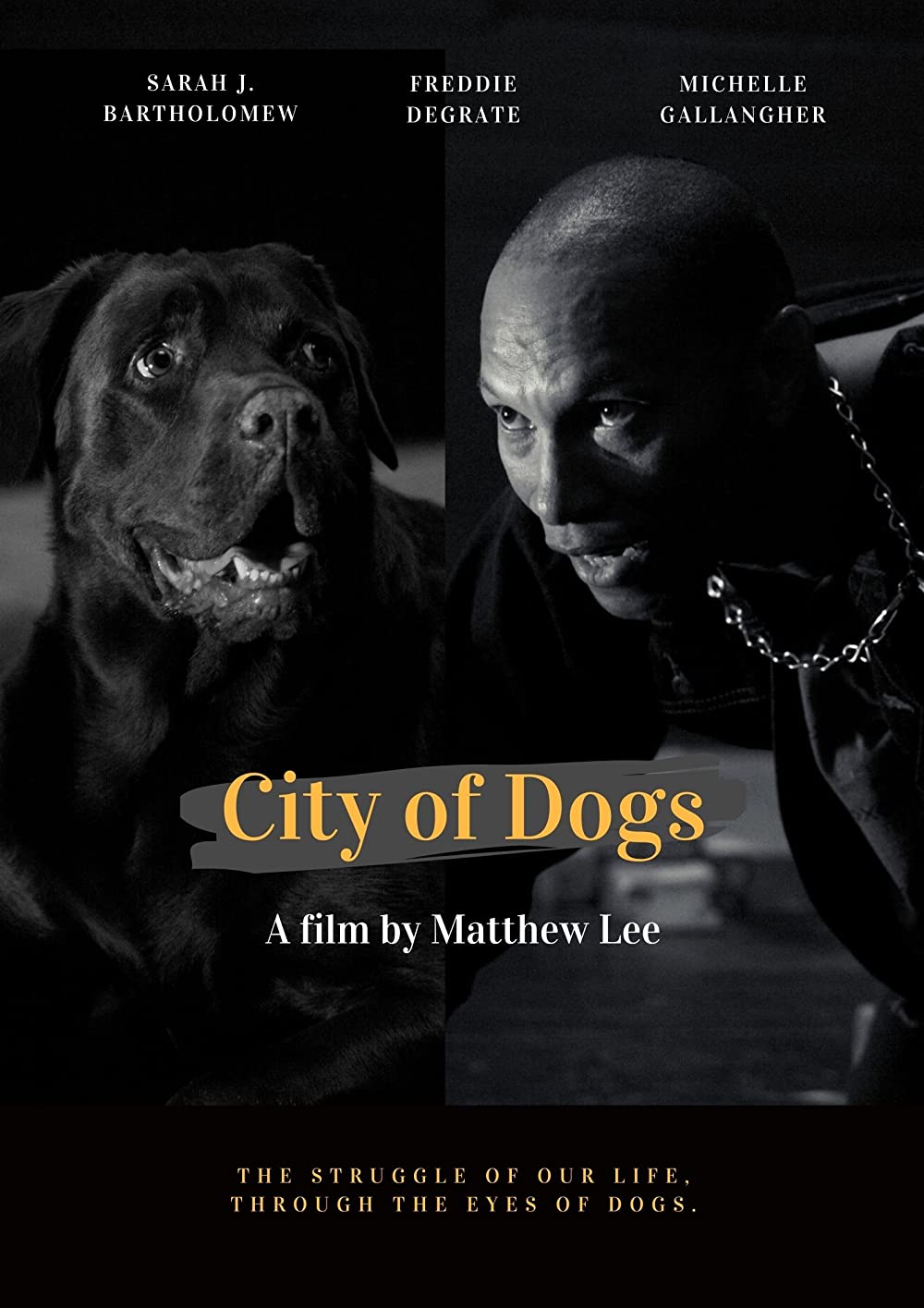 CITY OF DOGS